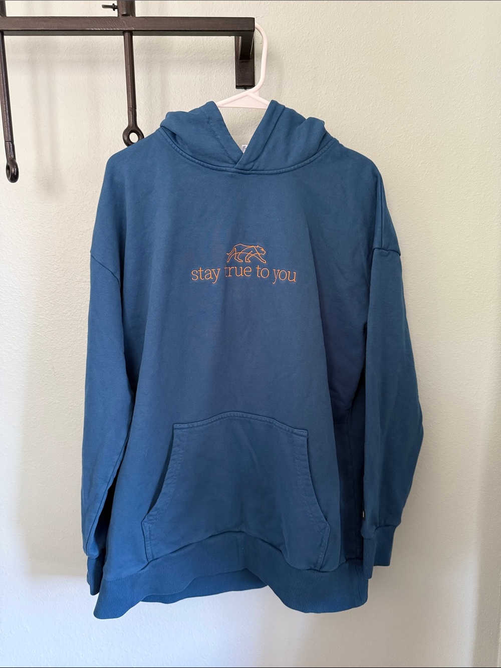 Tiger Friday Blue Graphic Hoodie - "stay true to you"